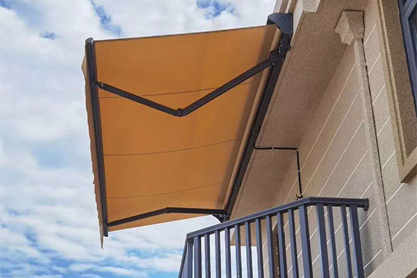 Original Awning Case