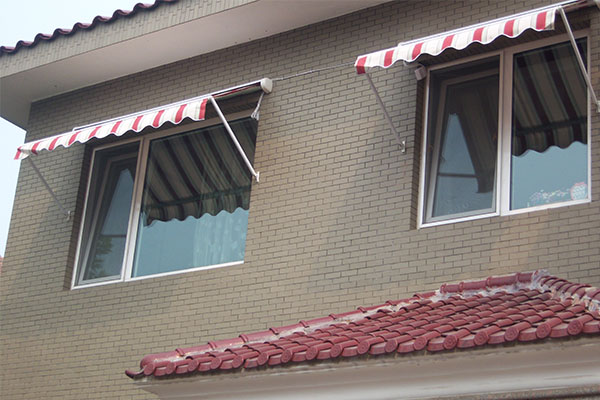 Window Awning Case